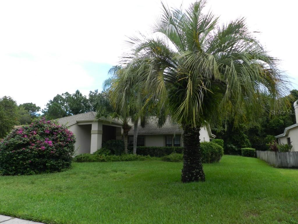 477 Centerwood Dr., Tarpon Springs, FL 34688