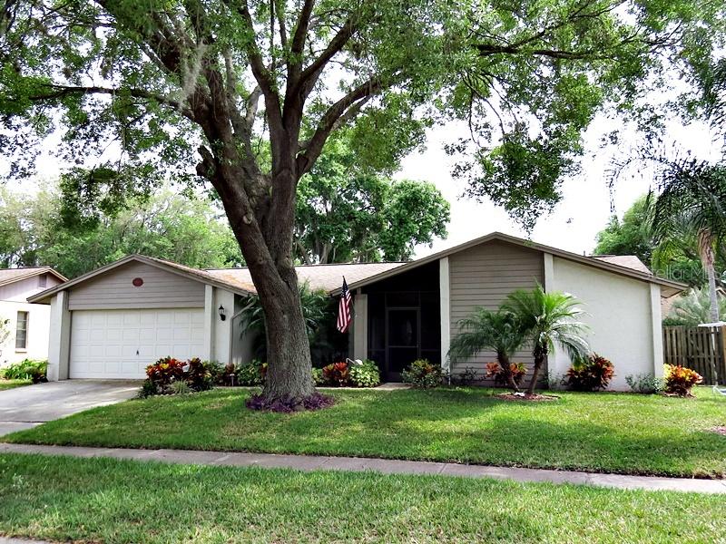 4024 Bell Grande Dr., Valrico, FL 33596