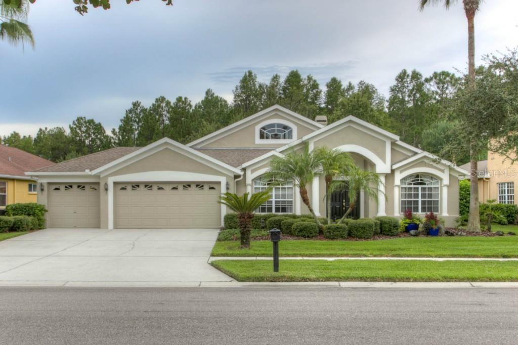 6110 Chene Ct., Lutz, FL 33558