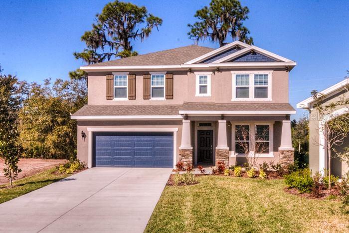 11860 Frost Aster Dr., Riverview, FL 33579