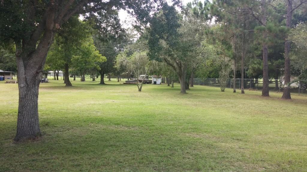 3801 Mindedahl Rd., Plant City, FL 33567