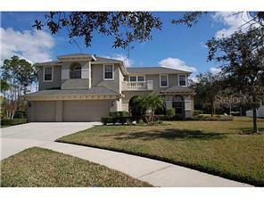 2804 Lake Valley Pl., Wesley Chapel, FL 33544