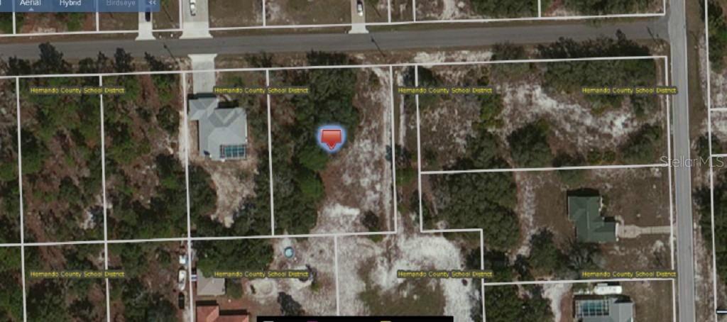 10360 Dotted Wren Ave., Weeki Wachee, FL 34613