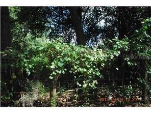 319, 321, 323 N Parsons Ave., Seffner, FL 33584