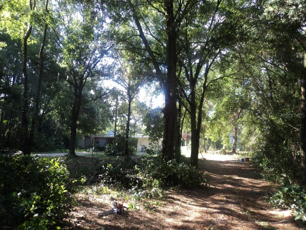 14600 Middlefield Ln., Odessa, FL 33556