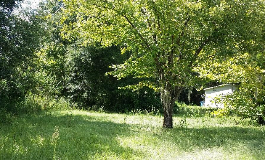 1012 Lianne Pl., Seffner, FL 33584