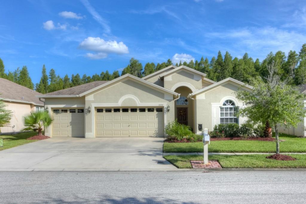 31650 Marchester Dr., Wesley Chapel, FL 33543
