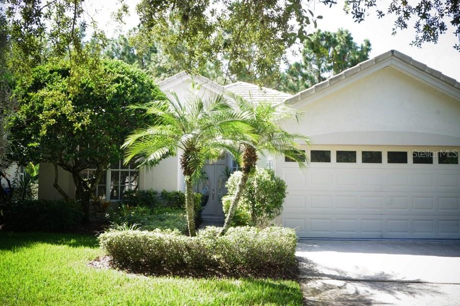 17744 Nathans Dr., Tampa, FL 33647