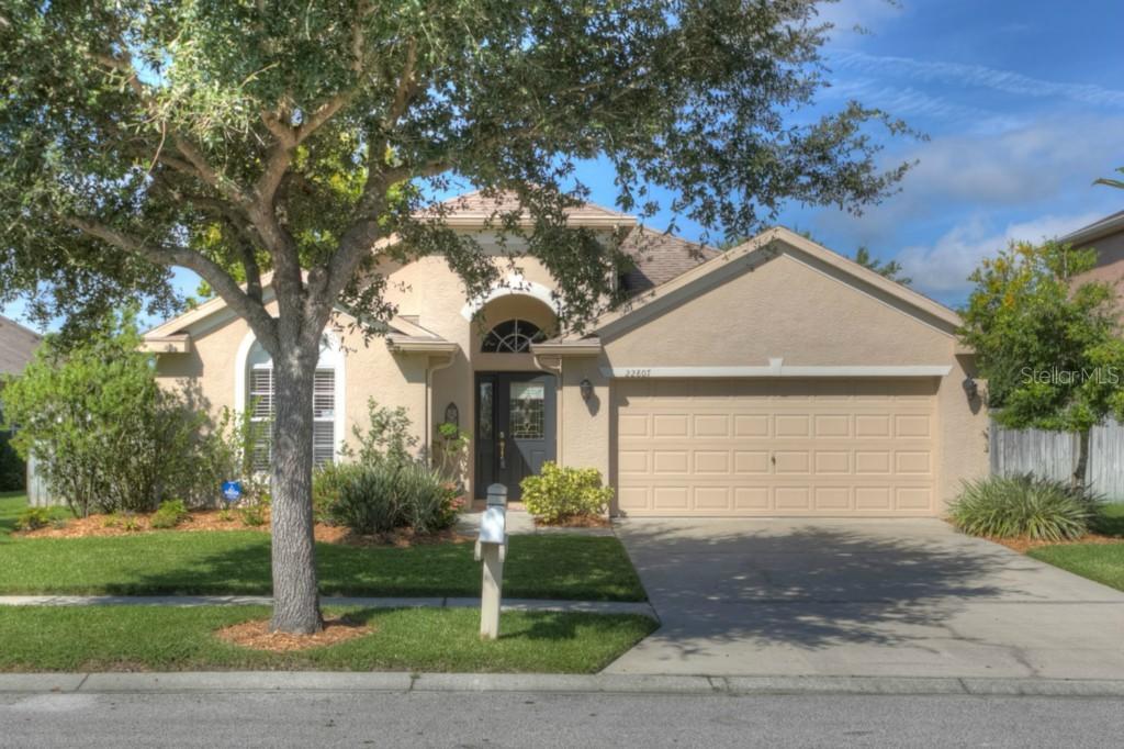 22807 Hawk Hill Loop, Land O Lakes, FL 34639