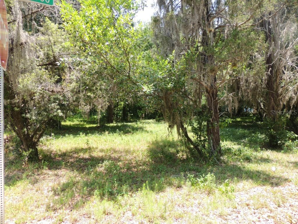 717 Coronet St., Plant City, FL 33563