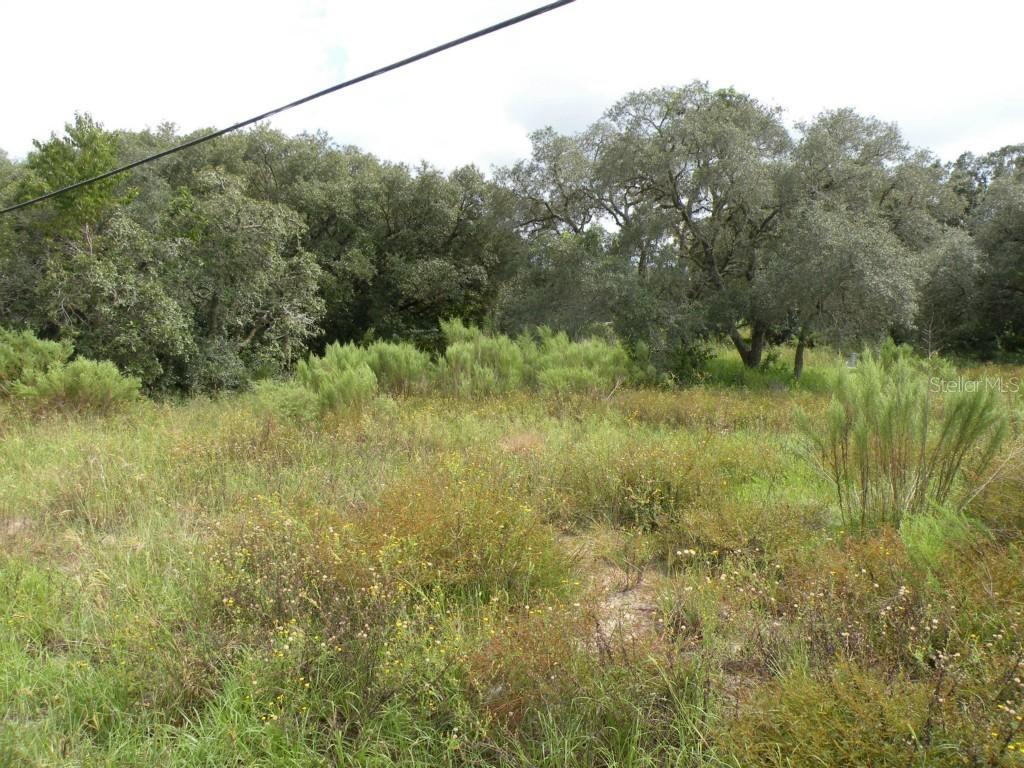 12312 Oneida Dr., Hudson, FL 34667