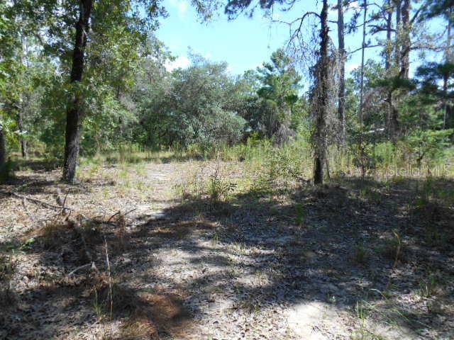 High Corner Rd., Brooksville, FL 34602