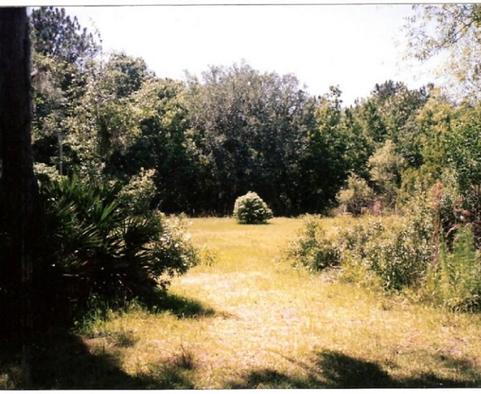7202 Whalens Hideaway St., Plant City, FL 33565