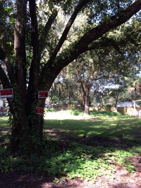 19212 Livengood Rd., Lutz, FL 33559