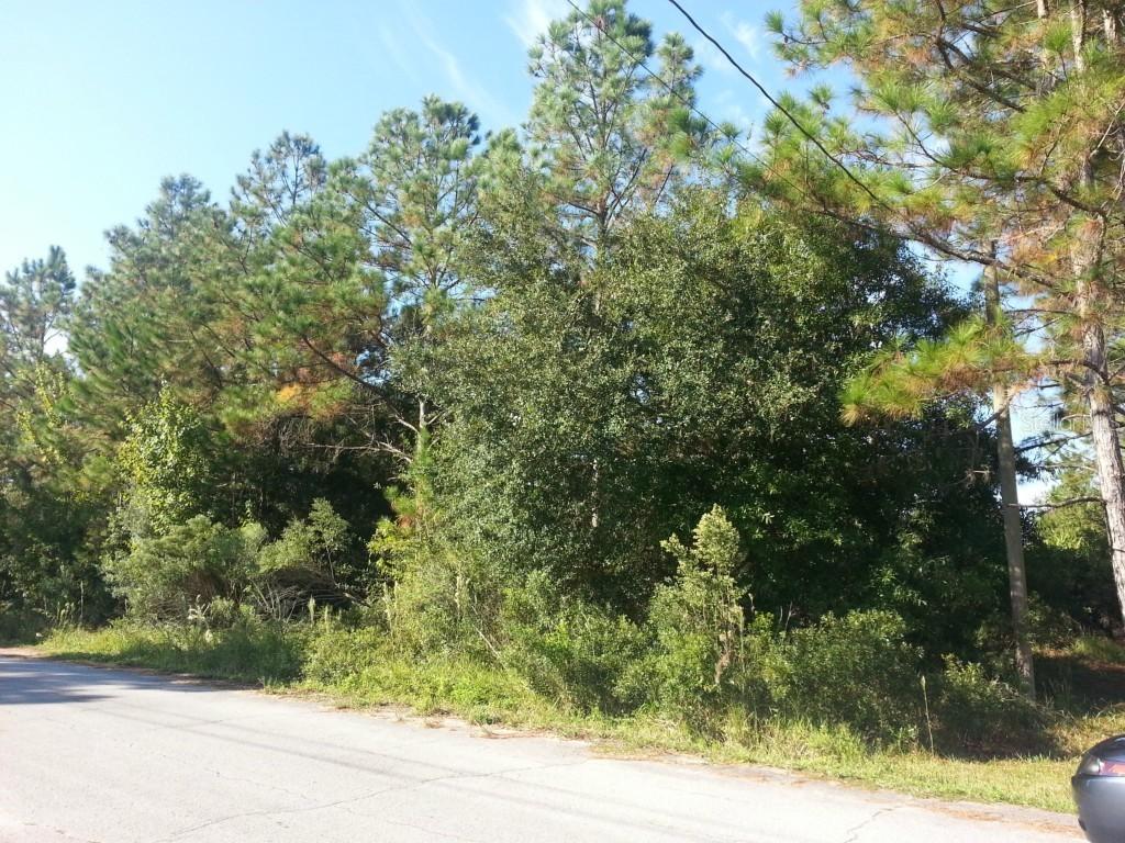 Haystack Rd., Zephyrhills, FL 33543