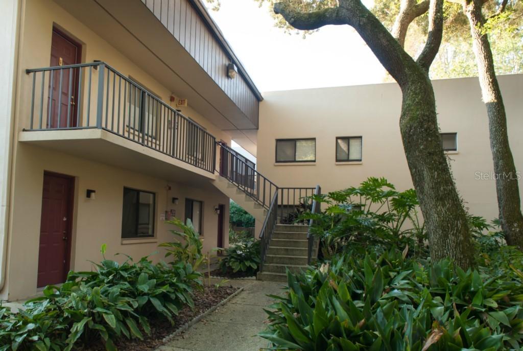 11722 Raintree Village Blvd. #D, Temple Terrace, FL 33617