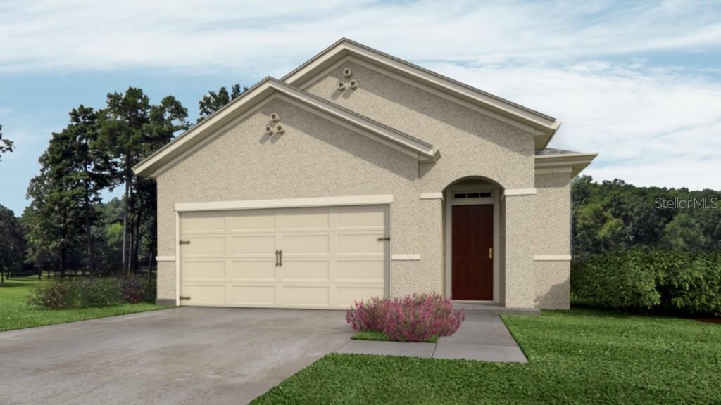 12243 Fawn Brindle St., Riverview, FL 33578