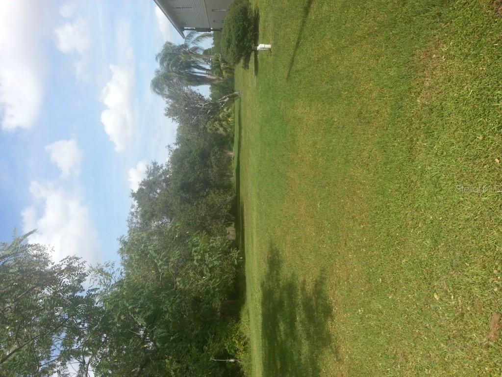 Phoenix Ave., Oldsmar, FL 34677