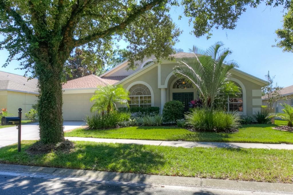 9223 Dayflower Dr., Tampa, FL 33647