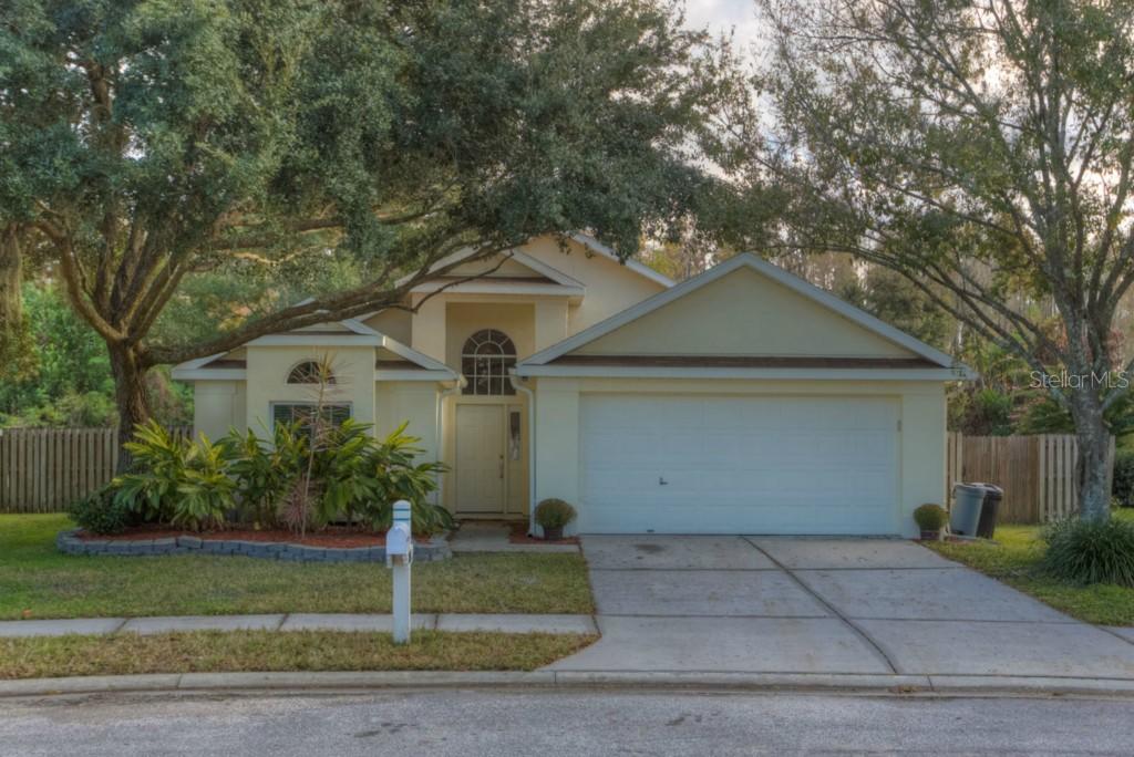 28602 Tall Grass Dr., Wesley Chapel, FL 33543