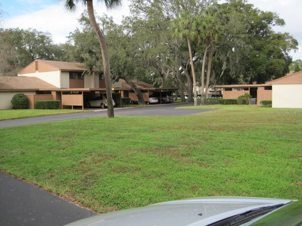 8608 Palm Ln. #115, Temple Terrace, FL 33637