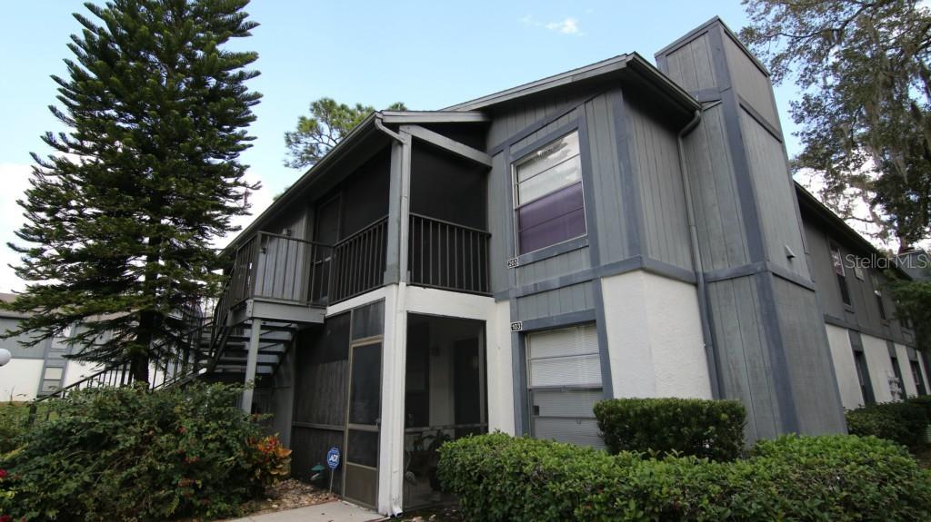 3964 Dream Oak Pl. #203, Tampa, FL 33613