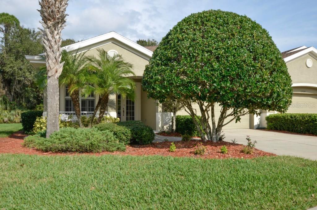 12727 Aston Creek Dr., Tampa, FL 33626