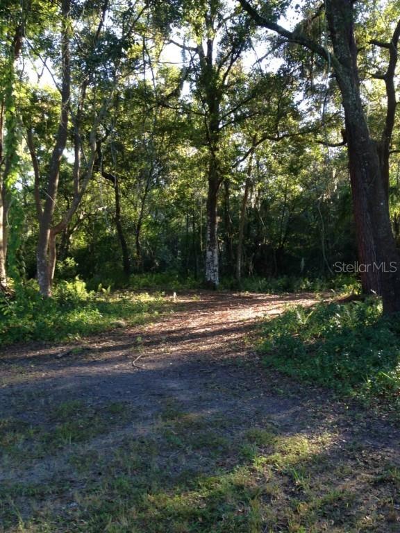 Lake Como, Lutz, FL 33558