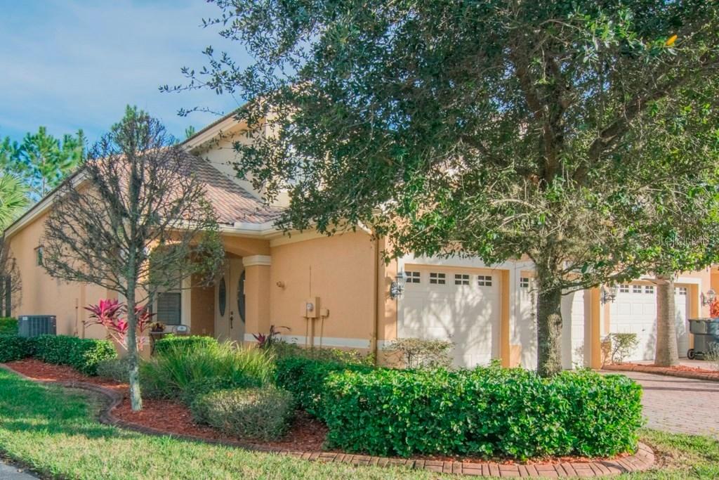 1910 Paw Paw Pl., Trinity, FL 34655