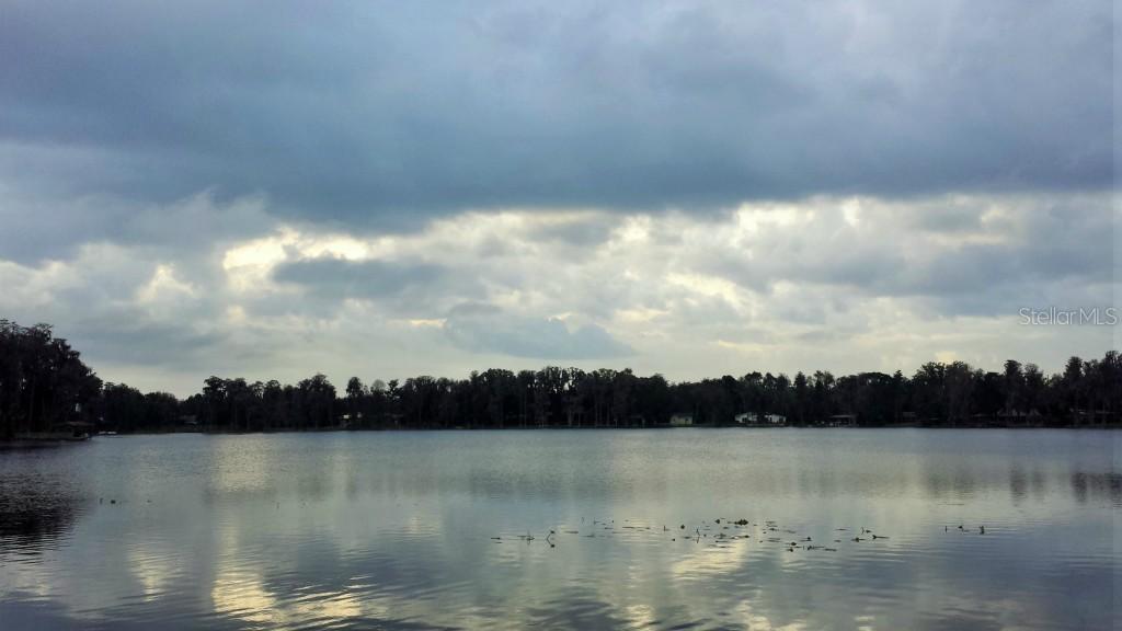 602 Druid Way, Lutz, FL 33548