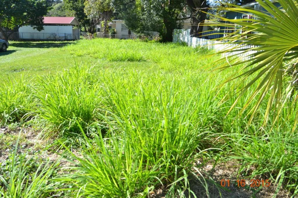 3108 N Tampa St., Tampa, FL 33603