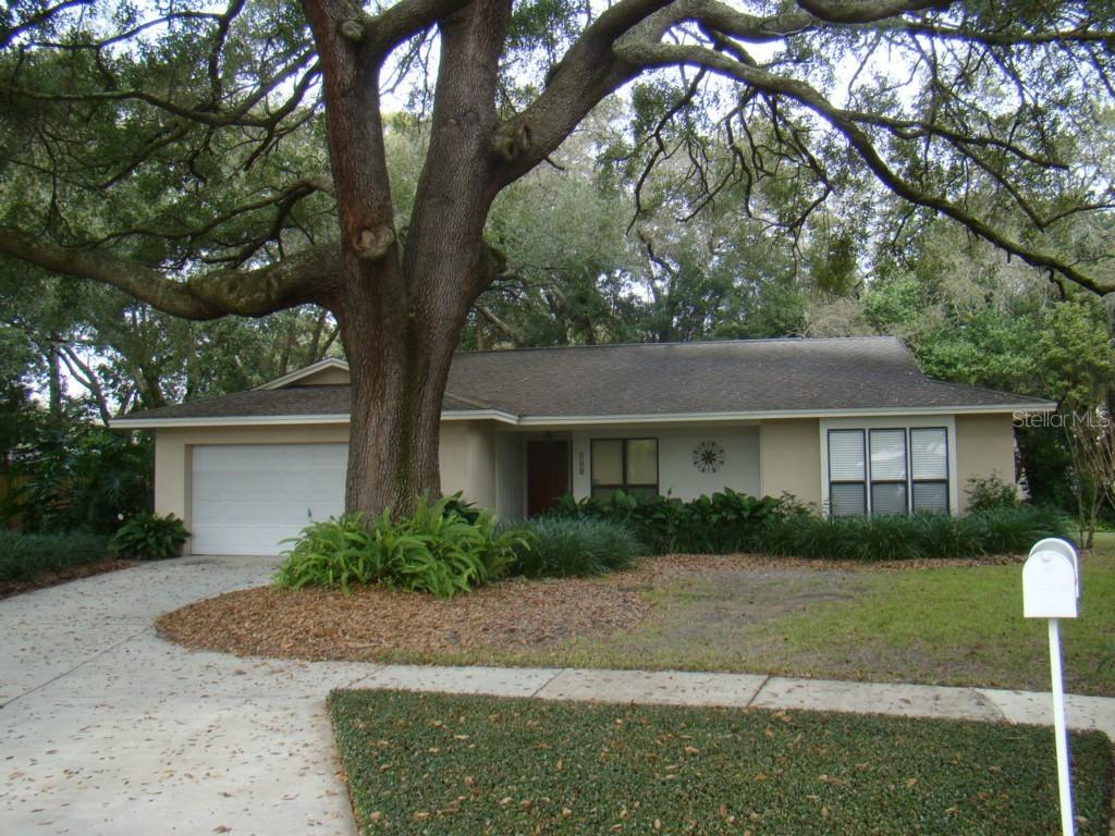 516 Siobhan Ct., Tampa, FL 33613