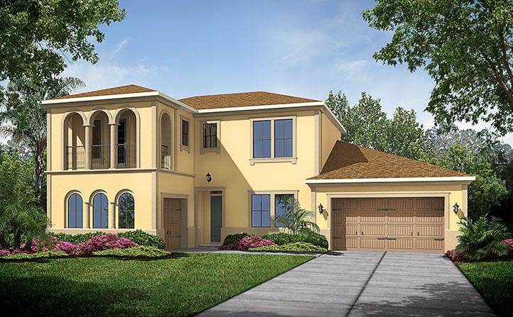 31976 Sandspirit Pl., Wesley Chapel, FL 33543