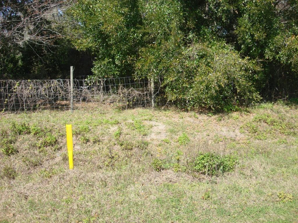 Trent Ln., Spring Hill, FL 34610