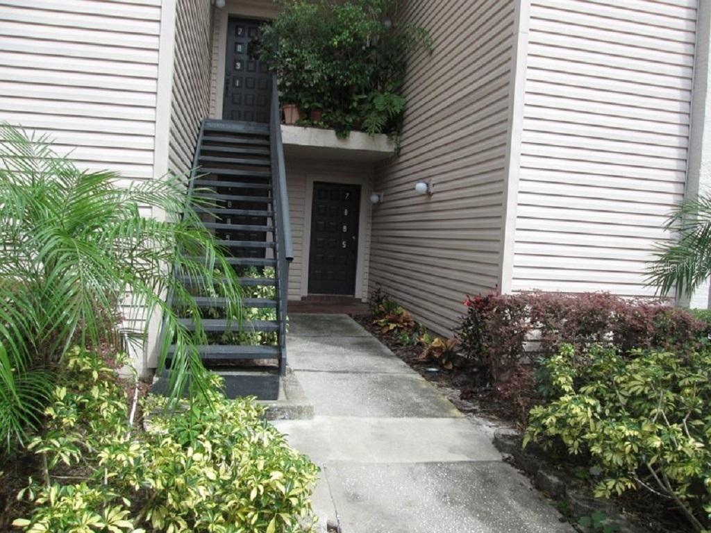 7885 Niagara Ave. #1703, Tampa, FL 33617