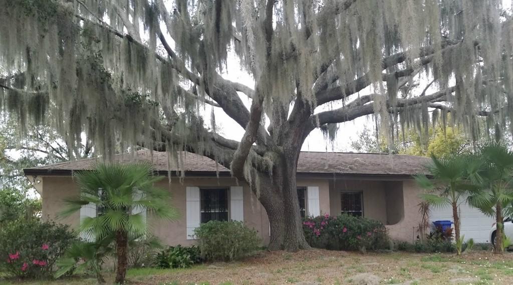 1020 Hallwood Loop, Brandon, FL 33511