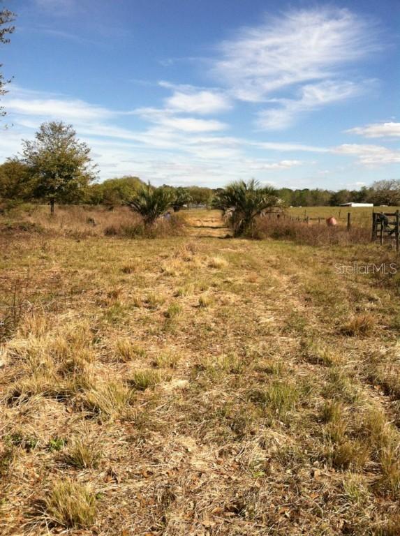 Charlie Talyor Rd., Plant City, FL 33565