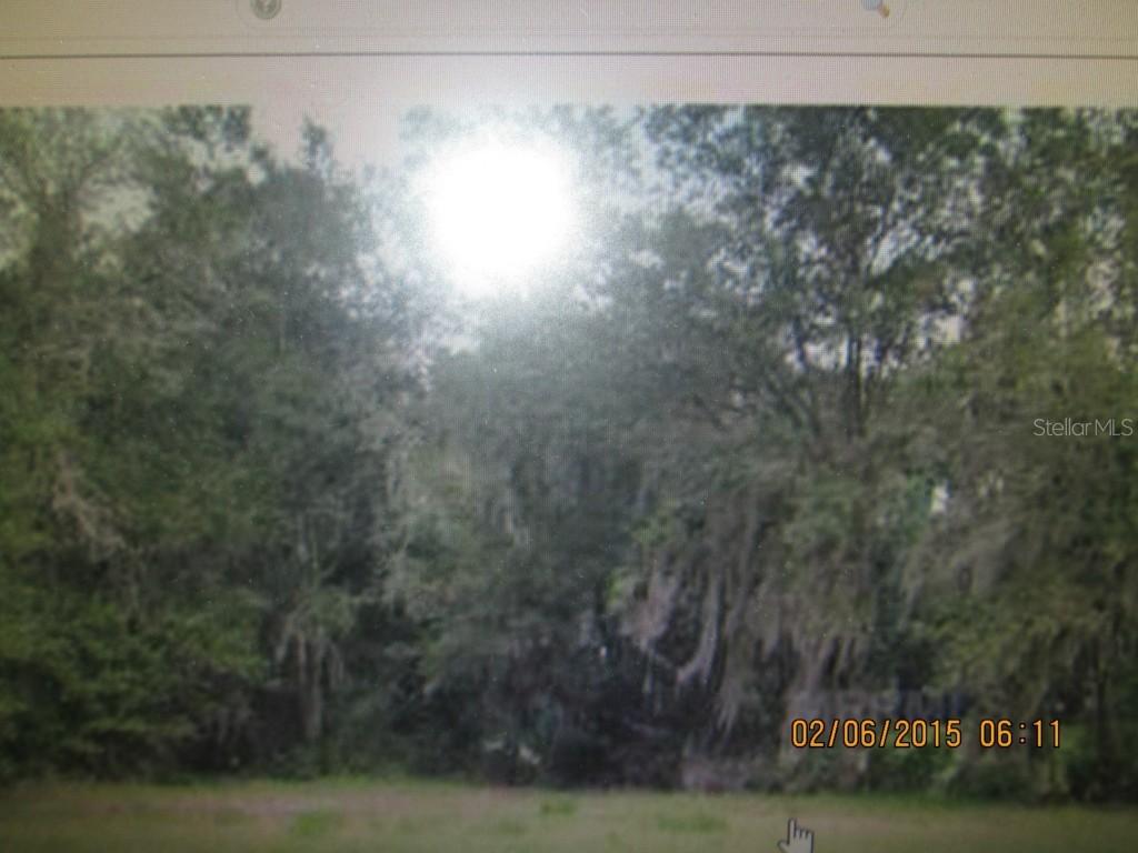 16335 Emerald Cove Dr., Lutz, FL 33549