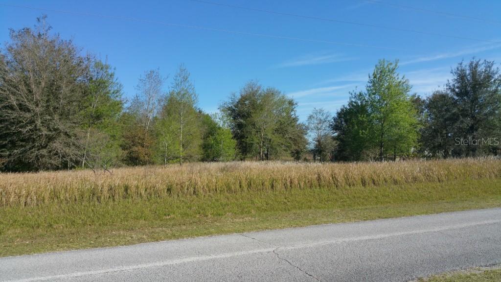 Bethlehem Rd., Lithia, FL 33547