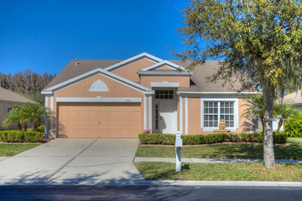 30803 Burleigh Dr., Wesley Chapel, FL 33543
