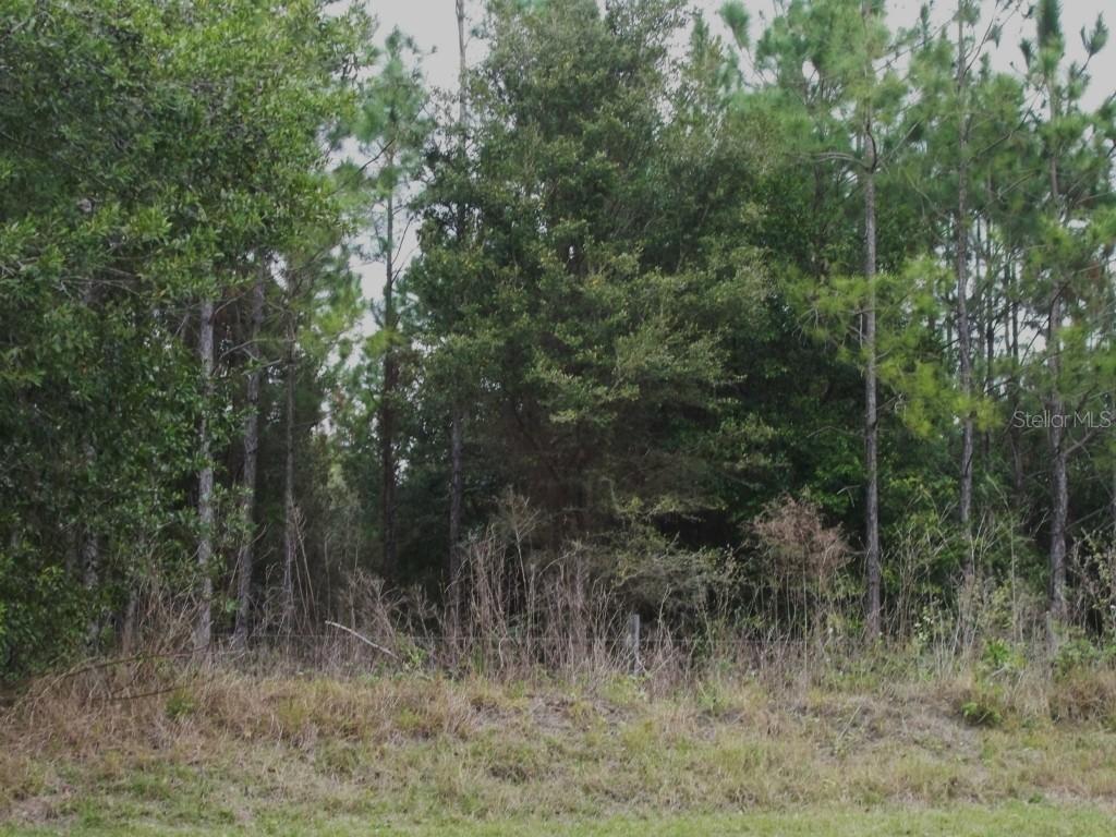 [Address Hidden by Seller], Lutz, FL 33558