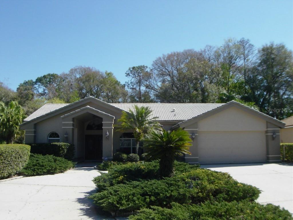 26046 Sawgrass Ct., Land O Lakes, FL 34639