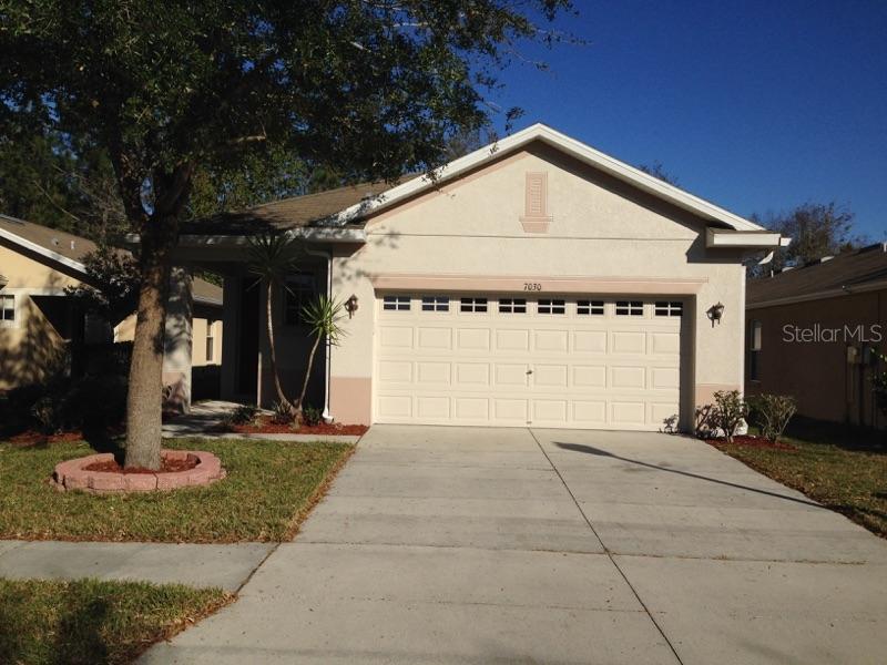 7030 Kendall Heath Way, Land O Lakes, FL 34637