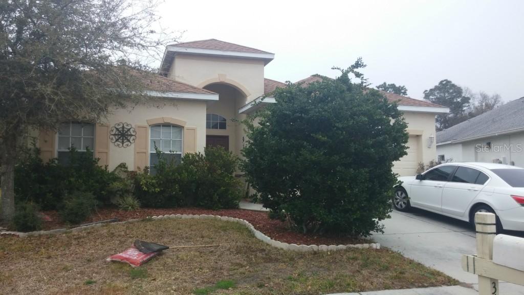 3654 Morgans Bluff Ct., Land O Lakes, FL 34639