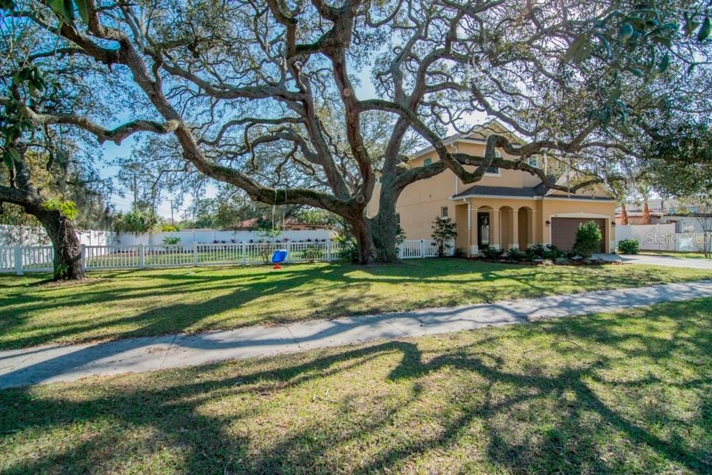 3020 W Ballast Point Blvd., Tampa, FL 33611