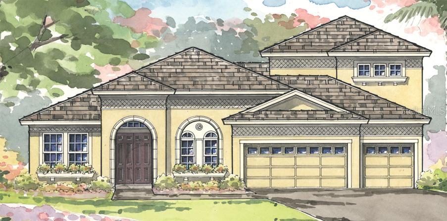 32791 Natural Bridge Rd., Wesley Chapel, FL 33543