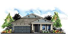 1699 Tallulah Ter., Wesley Chapel, FL 33543