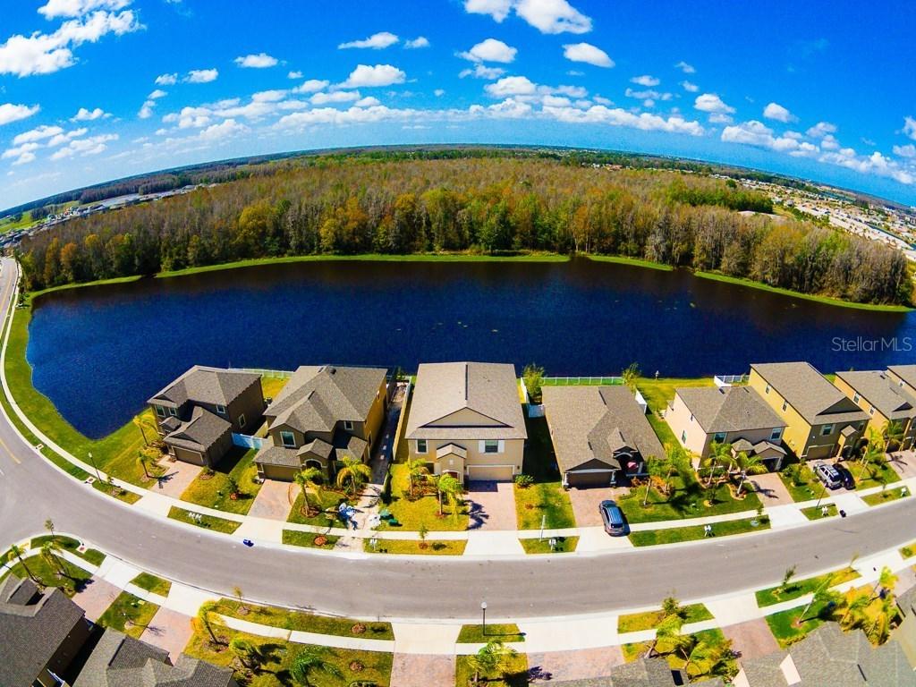 1559 Imperial Key Dr., Trinity, FL 34655