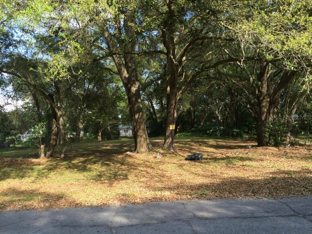 2802 Lenna Ave., Seffner, FL 33584