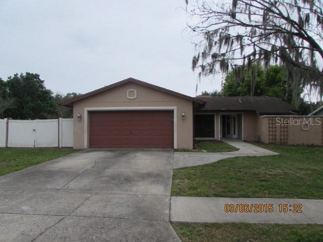 2325 Southern Lites Ave., Lutz, FL 33549